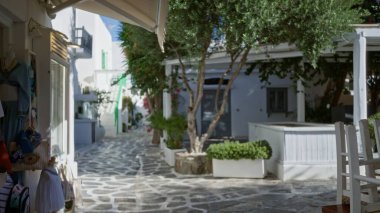 Beyazlatılmış binalar, saksı bitkileri ve gölgeli koltuklar, yumuşak odaklı bokeh sokağı ile kaplı güneşli taş sokak; arkaplan telif alanı sakinliği.