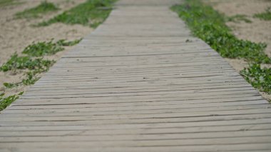 Tahta tahta kaldırım, güneşli gökyüzünün altında kumlu arazide uzanır. Yeşil çimenler, sakin bir açık hava manzarasında yolu kaplar..