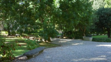 Yumuşak odaklı park yolu çakıl yolu ve bulanık güneş ışığı altında bulanık ağaçlar; arkaplan telif alanı sakin.