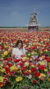 Lisse, Hollanda 'da yel değirmeniyle canlı lale tarlasından hoşlanan kadın baharda renkli çiçekler ve açık gökyüzü sergiliyor..