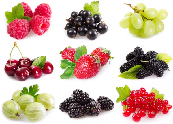 Collection of berries — Stock Photo, Image