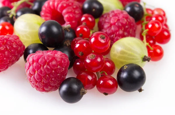 Collection of berries — Stock Photo, Image