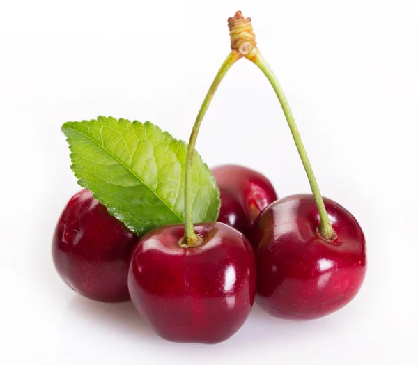 Fresh cherry on white — Stock Photo, Image