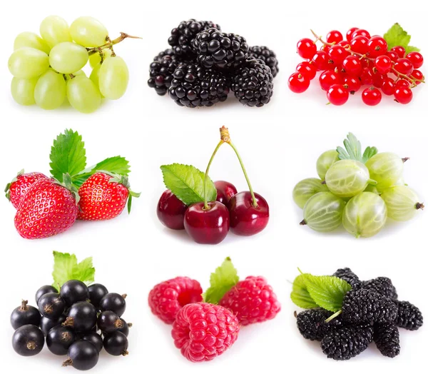 Collection of berries — Stock Photo, Image