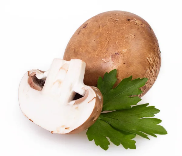 Champignons op witte achtergrond — Stockfoto