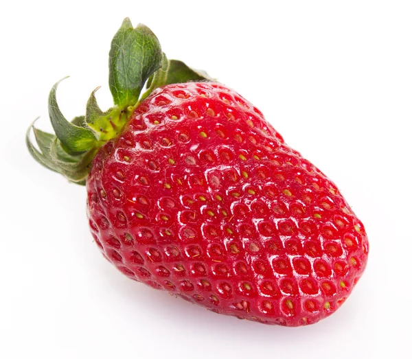 在白色的新鲜草莓 — 图库照片
