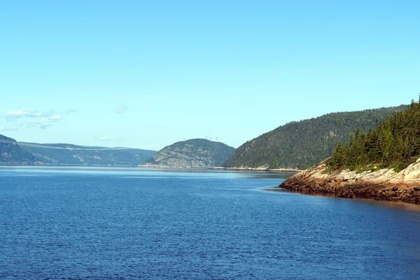 SAGUENAY Fiyordu Kanada
