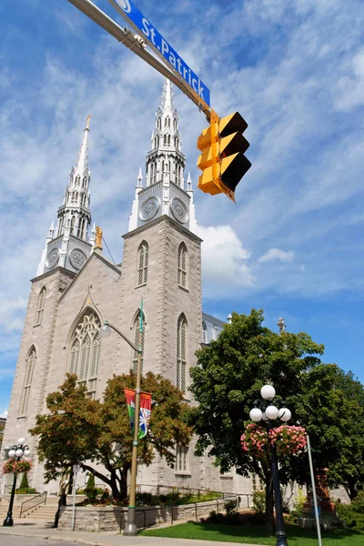 Notre dame kathedraal basiliek in ottawa — Stockfoto