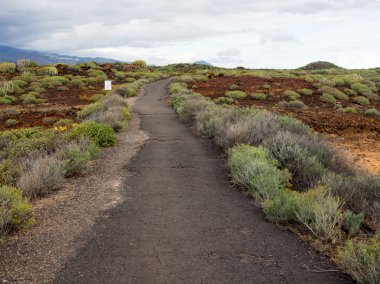 Doğa rezerv Malpais de Rasca
