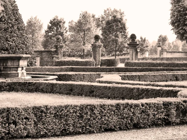 Italian garden with hedges and fountain, black and white photo