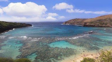 Hanauma bay Hawaii şnorkel