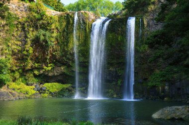 Whangarei Falls, New Zealand clipart