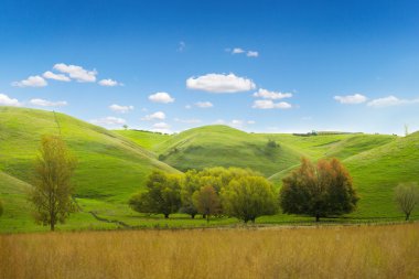 Pitoresk yeşil tepeler manzara