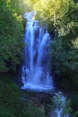 Waitanguru Falls, Waitomo, Yeni Zelanda