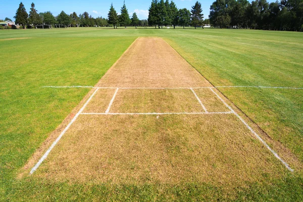 Cricket-Feld Hintergrund — Stockfoto