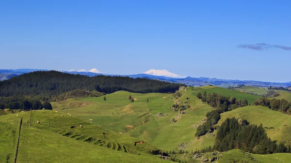 Picturesque green hills and volcanoes landscape panorama — Stock Photo, Image