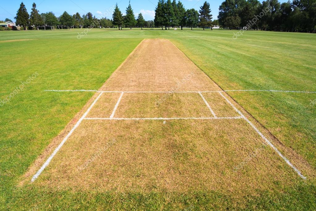 Cricket Pitch | KreedOn