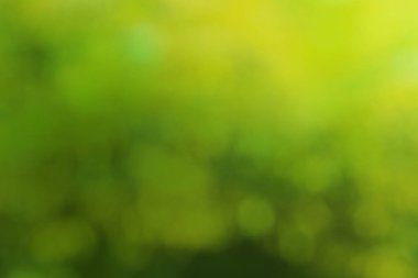 Yeşil sarı soyut bokeh bulanık arkaplan
