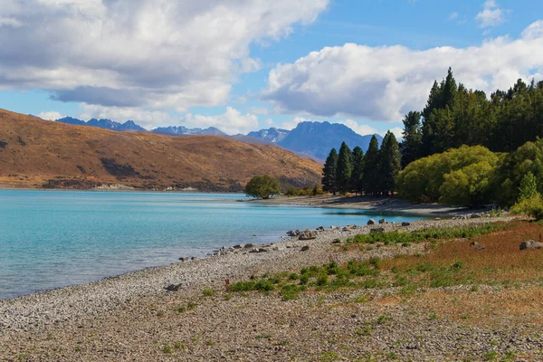 Lago Tekapo Acqua Blu Isola Del Sud Nuova Zelanda — Foto Stock