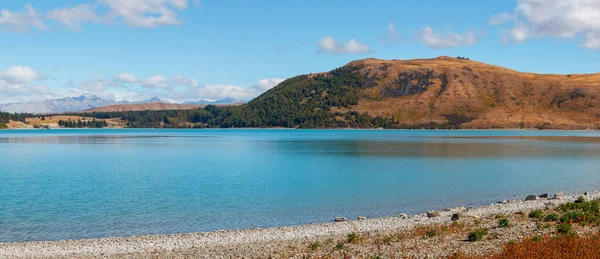 Lago Tekapo Panorama Isola Del Sud Nuova Zelanda — Foto Stock