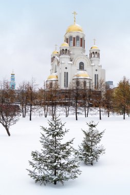 Kışın, Yekaterinburg kan Katedrali