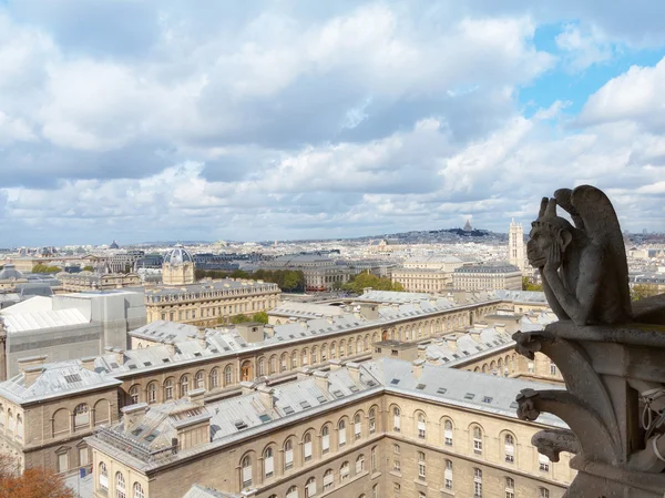 Pariser Luftaufnahme von der Kathedrale Notre Dame — Stockfoto