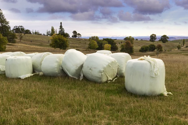 Paisaje de otoño de campo — Foto de Stock