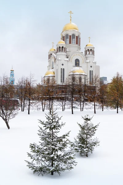 Domkyrkan på blodet i vinter, Yekaterinburg — Stockfoto