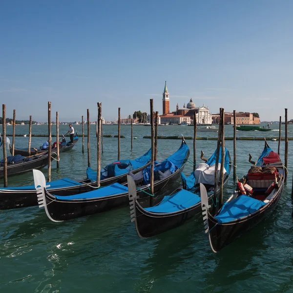 Venice gondolas  morning — Stock Photo, Image