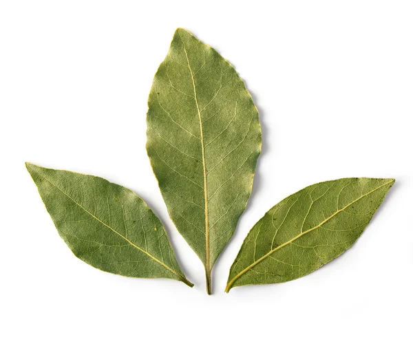 Aromatic bay leaves — Stock Photo, Image