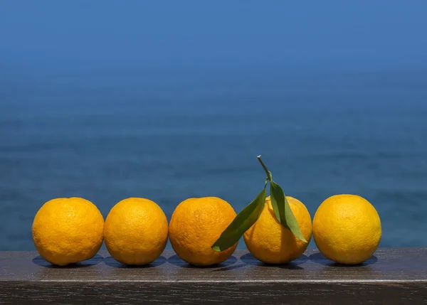 Ripe oranges on sea — Stock Photo, Image