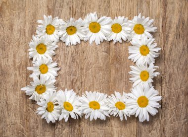 Papatya çiçekli çerçeve