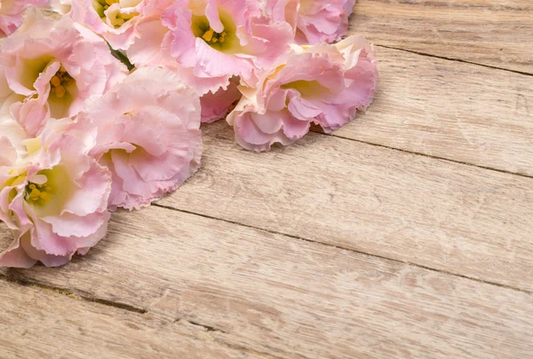 Blumen auf gealtertem Holzgrund — Stockfoto
