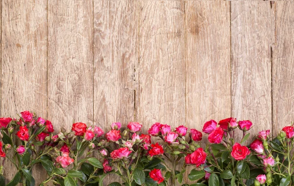 Rote Rosen auf Holzbrett — Stockfoto