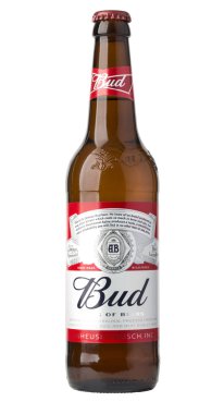  Budweiser tek bir şişe beyaz 