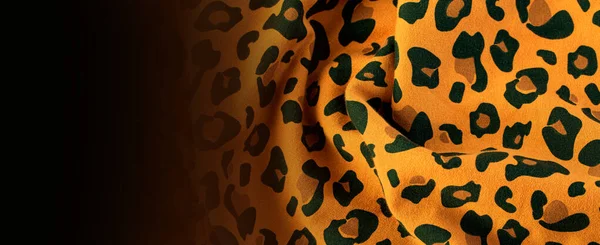 Leopardo Natureza Selvagem Amarelo Preto Forma Leopardo Chita Natur — Fotografia de Stock