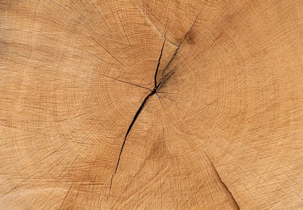 Runder Baum Mit Jahresringen Und Rissen Holzstruktur — Stockfoto