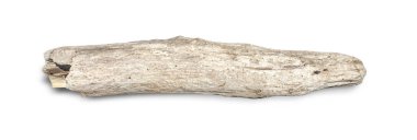 Denizde yüzen bir odun parçası Uzun bir süre kesme yolu ile