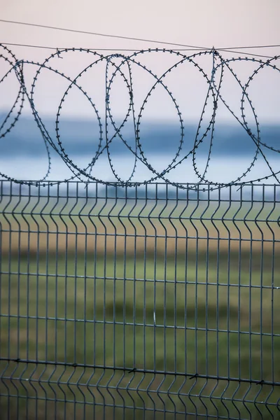 Prikkeldraad — Stockfoto