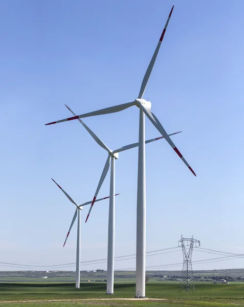 Grön förnybar energikoncept Stockbild