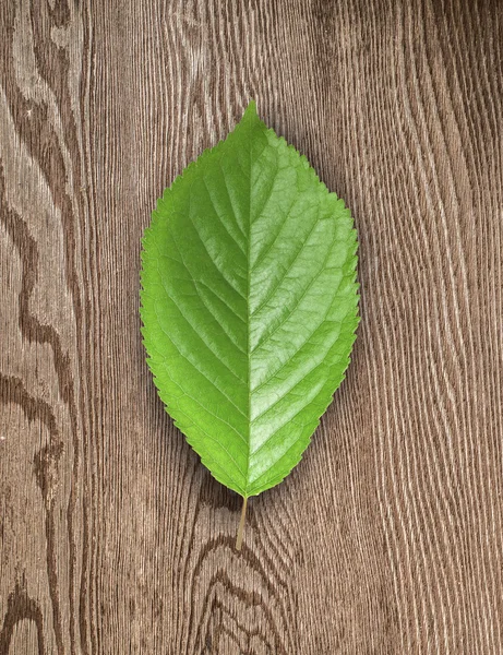 Green leaf and  wooden board. — Stock Photo, Image