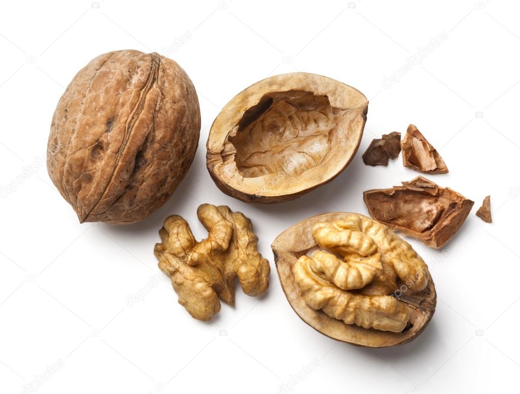 walnut and a cracked walnut