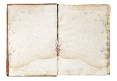 Open vintage book showing blank aged pages with mold and stains, transparent background