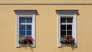 Renkli sardunya çiçek kutularıyla süslenmiş iki klasik pencerenin yer aldığı sarı cephe