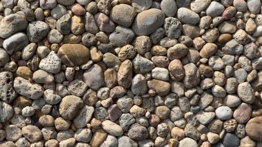 Çeşitli çakıl taşları ve küçük taşlar doğal bir doku arkaplanı oluşturuyor.