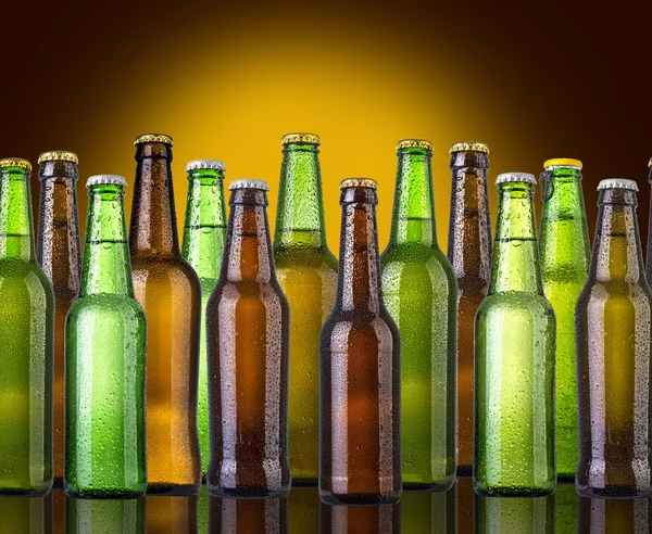 Set de botellas de cerveza — Foto de Stock