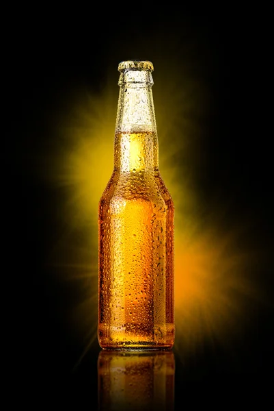 Cold beer bottle — Stock Photo, Image