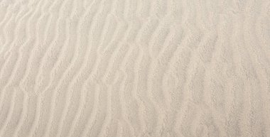 Rüzgar bej çöl kumunda güzel dalgalı desenler oluşturuyor.