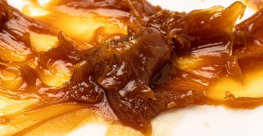 Beyaz arka planda kahverengi yapışkan yağ dokusu