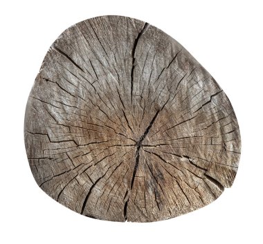 Ağaç gövdesi üst görünümü radyal çatlaklarla doğal ahşap dokusunu ve şeffaf arkaplanda yıllık büyüme halkalarını gösteriyor